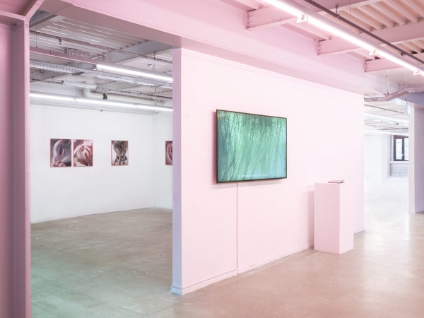 Valerie Geissbühler Pacheco